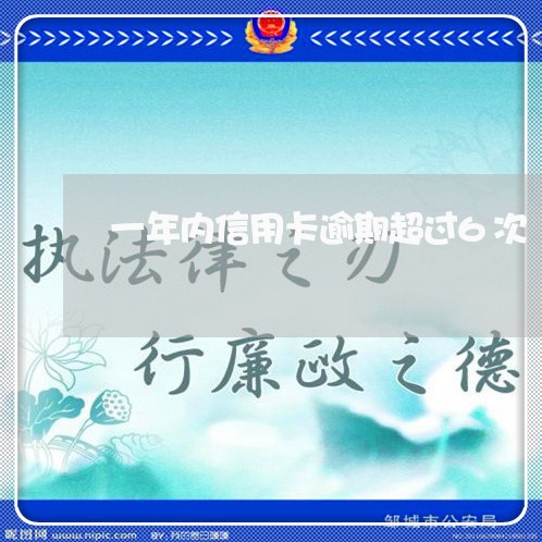 一年内信用卡逾期超过6次/2023062039268