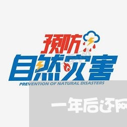 一年后还网贷/2023120740695