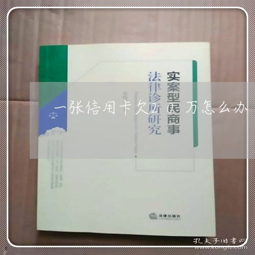 一张信用卡欠20万怎么办 一张信用卡欠20万怎么办