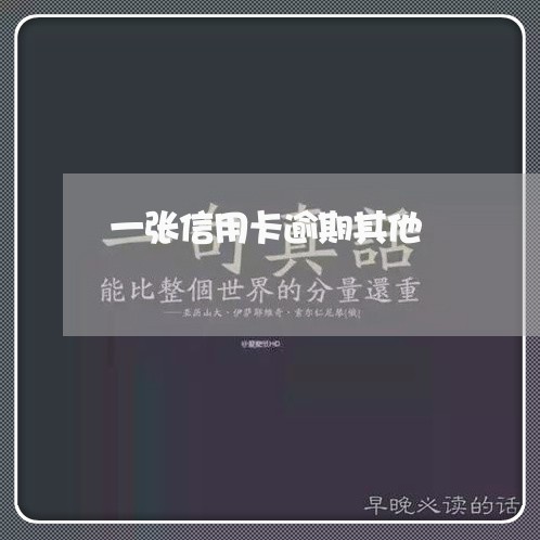 一张信用卡逾期其他 一张信用卡逾期其他