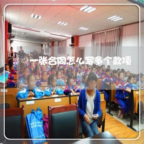 一张合同怎么写多个款项/2023041483837