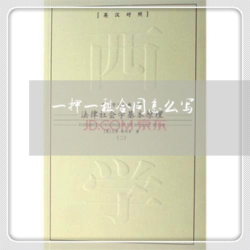 一押一租合同怎么写/2023040995369