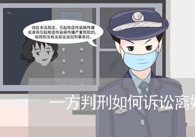 一方判刑如何诉讼离婚