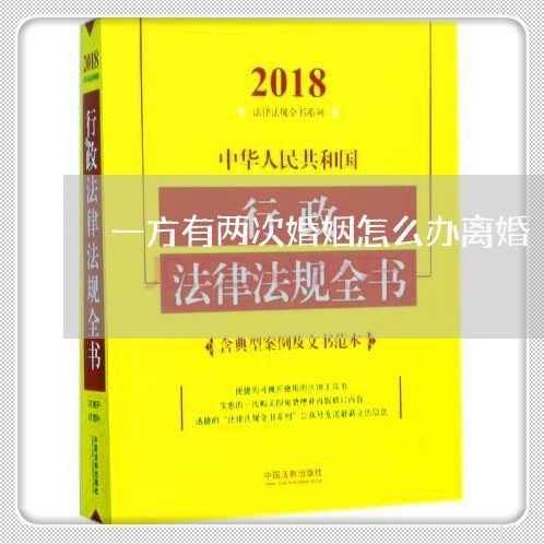 一方有两次婚姻怎么办离婚/2023060915050