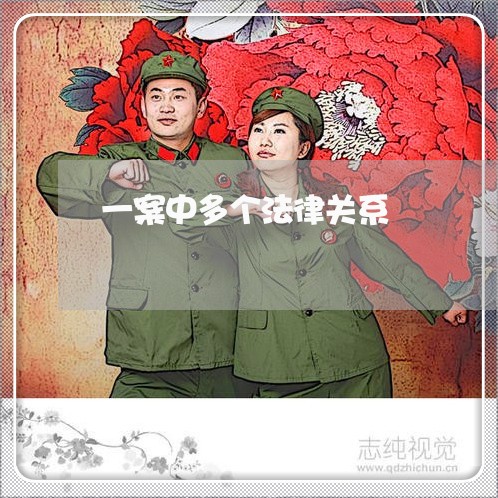 一案中多个法律关系
