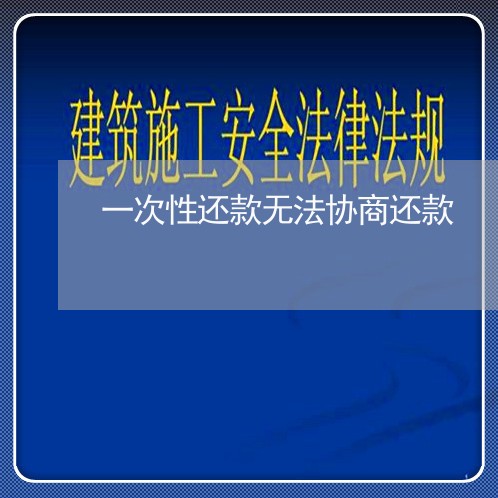 一次性还款无法协商还款/2023110738260