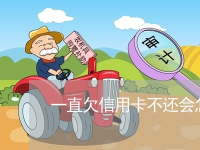 一直欠信用卡不还会怎么样/2023061967259