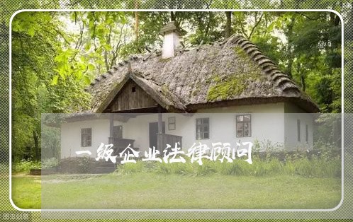 一级企业法律顾问/2023061782714 一级企业法律顾问/2023061782714