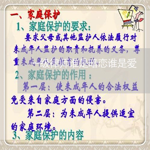 一级律师谁是暗恋谁是爱 一级律师谁是暗恋谁是爱