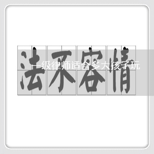 一级律师适合多大孩子玩