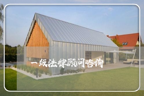 一级法律顾问咨询