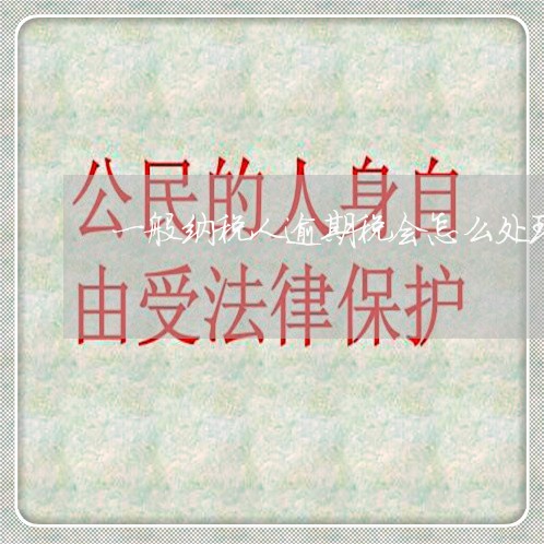 一般纳税人逾期税会怎么处理 一般纳税人逾期税会怎么处理