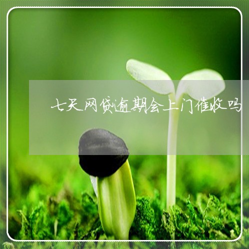 七天网贷逾期会上门催收吗
