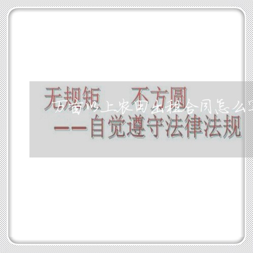 万亩以上农田出租合同怎么写/2023060213168