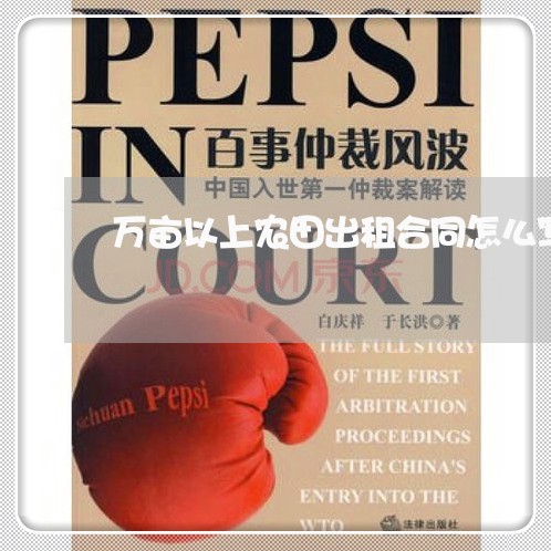 万亩以上农田出租合同怎么写/2023060272793
