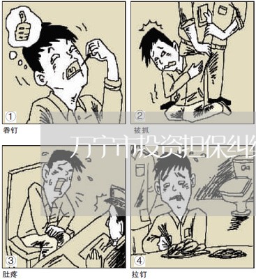万宁市投资担保纠纷处理律师