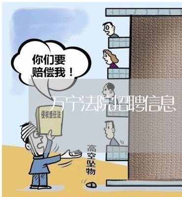 万宁法院招聘信息