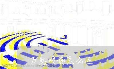 万惠网贷怎么还/2023112629243