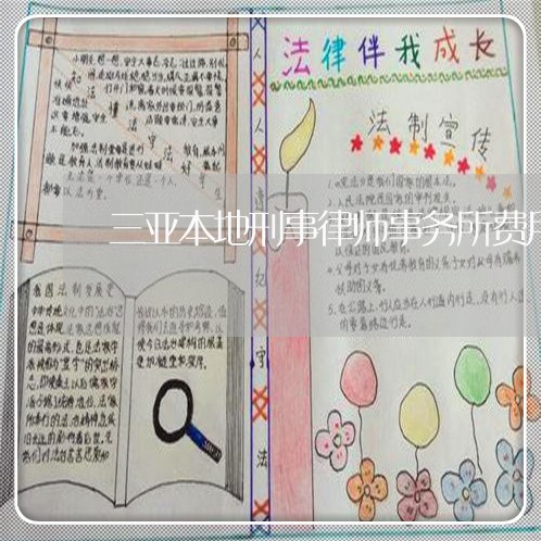三亚本地刑事律师事务所费用