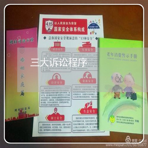 三大诉讼程序