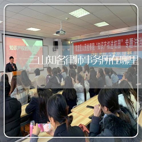 三山知名律师事务所在哪里/2023061115939