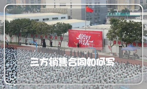 三方销售合同如何写/2023042350492