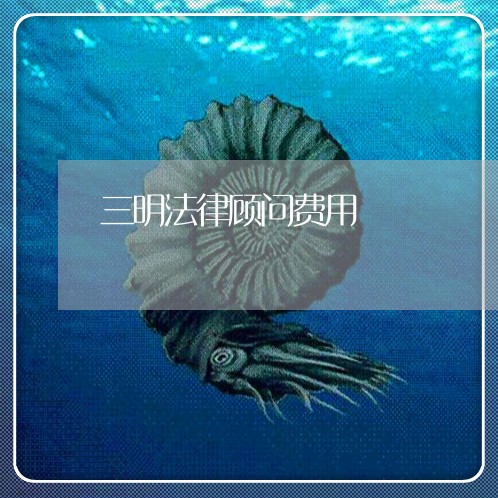 三明法律顾问费用/2023061858581 三明法律顾问费用/2023061858581