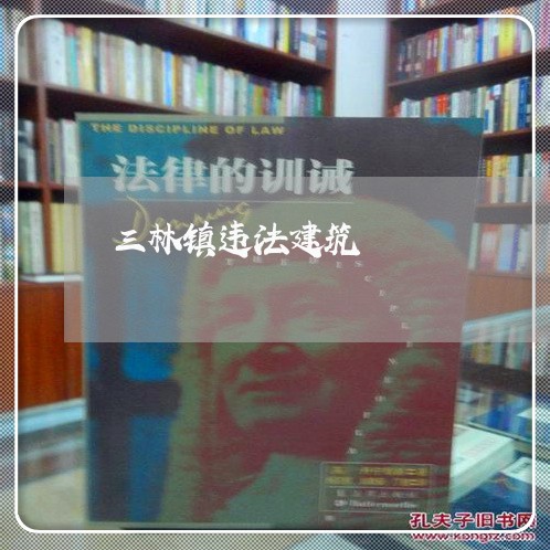 三林镇违法建筑