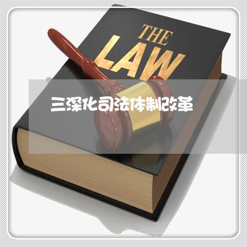 三深化司法体制改革 三深化司法体制改革