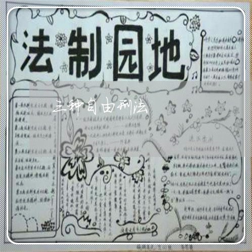 三种自由刑法 三种自由刑法