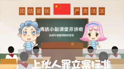上伙人罪立案标准/2023031417948