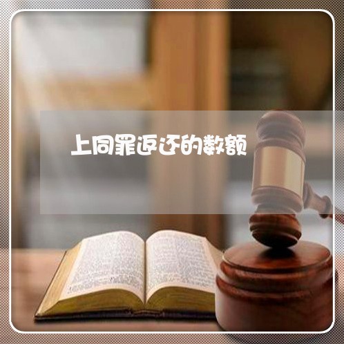 上同罪返还的数额/2023031502705