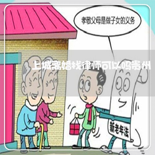 上城离婚找律师可以吗贵州/2023060914947