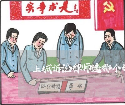 上城诉讼律师选哪个好点