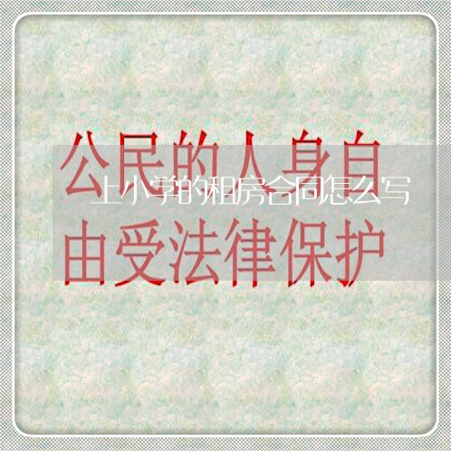 上小学的租房合同怎么写/2023041163826 上小学的租房合同怎么写/2023041163826