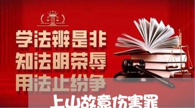 上山故意伤害罪/2023030100486 上山故意伤害罪/2023030100486
