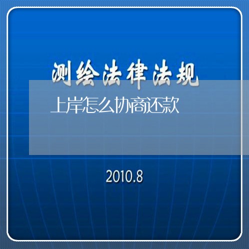 上岸怎么协商还款/2023101656249