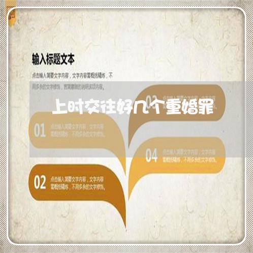 上时交往好几个重婚罪/2023031505027
