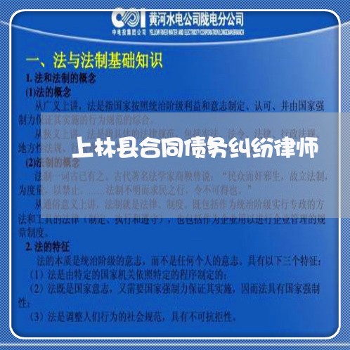 上林县合同债务纠纷律师