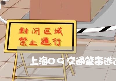 上海09交通肇事逃逸案件/2023032015736