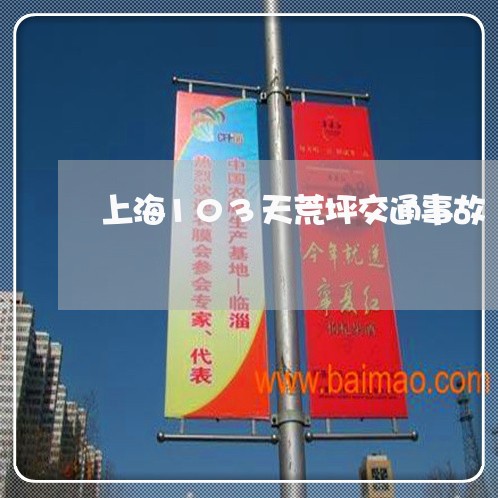 上海103天荒坪交通事故/2023032072402 上海103天荒坪交通事故/2023032072402