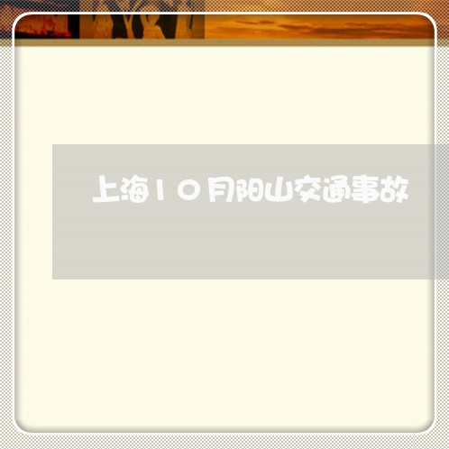 上海10月阳山交通事故/2023030105958 上海10月阳山交通事故/2023030105958