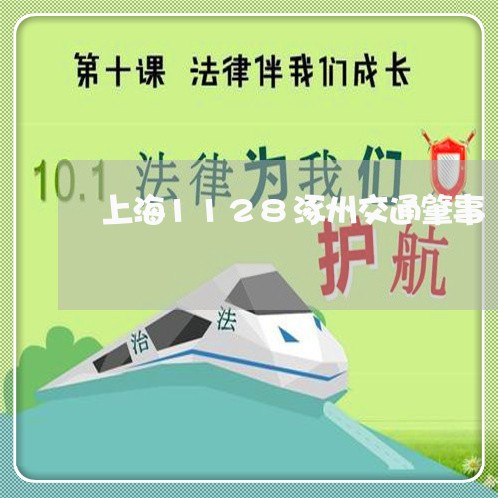 上海1128涿州交通肇事/2023032091482 上海1128涿州交通肇事/2023032091482