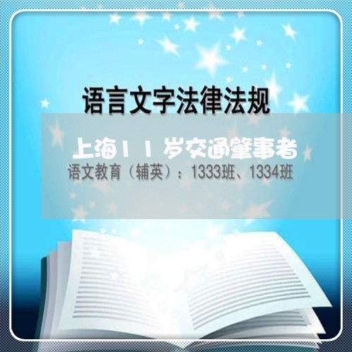 上海11岁交通肇事者/2023021327049