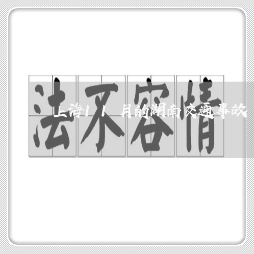 上海11月的湖南交通事故/2023032092824 上海11月的湖南交通事故/2023032092824