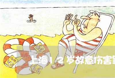 上海12岁故意伤害罪/2023021471495
