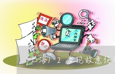 上海12岁犯故意伤害罪/2023030127926 上海12岁犯故意伤害罪/2023030127926