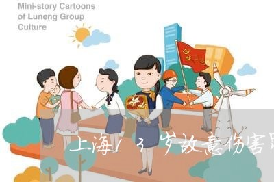 上海13岁故意伤害罪/2023021460494 上海13岁故意伤害罪/2023021460494
