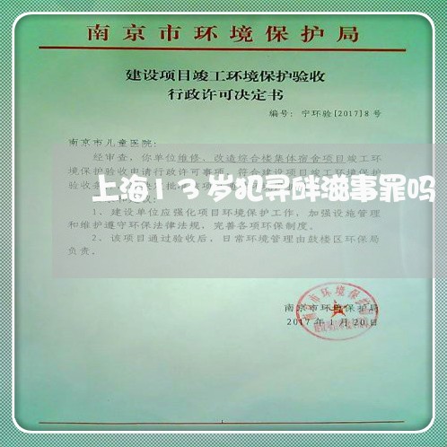 上海13岁犯寻衅滋事罪吗/2023032038461 上海13岁犯寻衅滋事罪吗/2023032038461