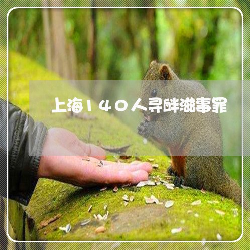 上海140人寻衅滋事罪/2023030122924
